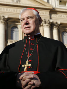 Cardinal Gerhard Muller, prefect of the Congregation for the Doctrine of the Faith, pictured in 2014, has dismissed accusations that some Vatican officials are resisting recommendations on best practices for protecting children and vulnerable adults from clergy sex abuse.  (CNS photo/Paul Haring) See VATICAN-ABUSE-MULLER March 6, 2017.